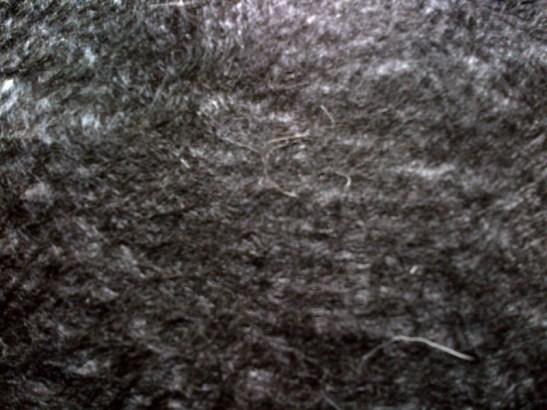 20131010-171027.jpg